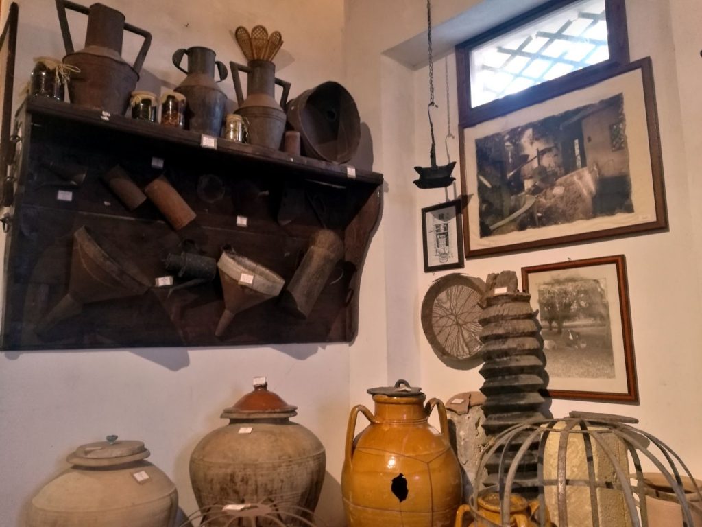 Interno del museo di Zungri