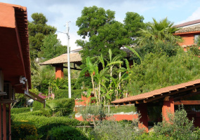 giardino