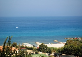 mare