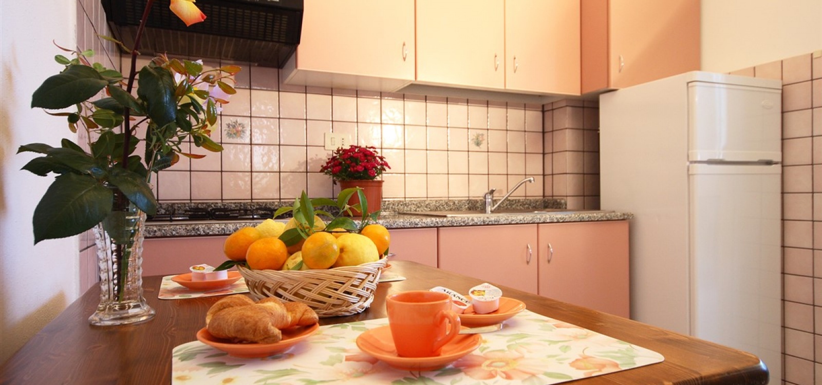 cucina cucina