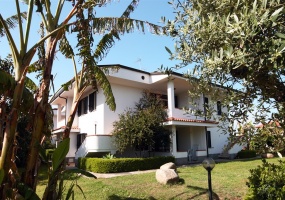 giardino giardino