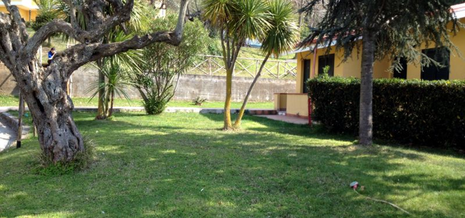 giardino