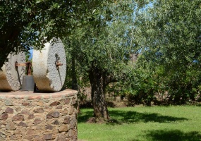 Il giardino del B