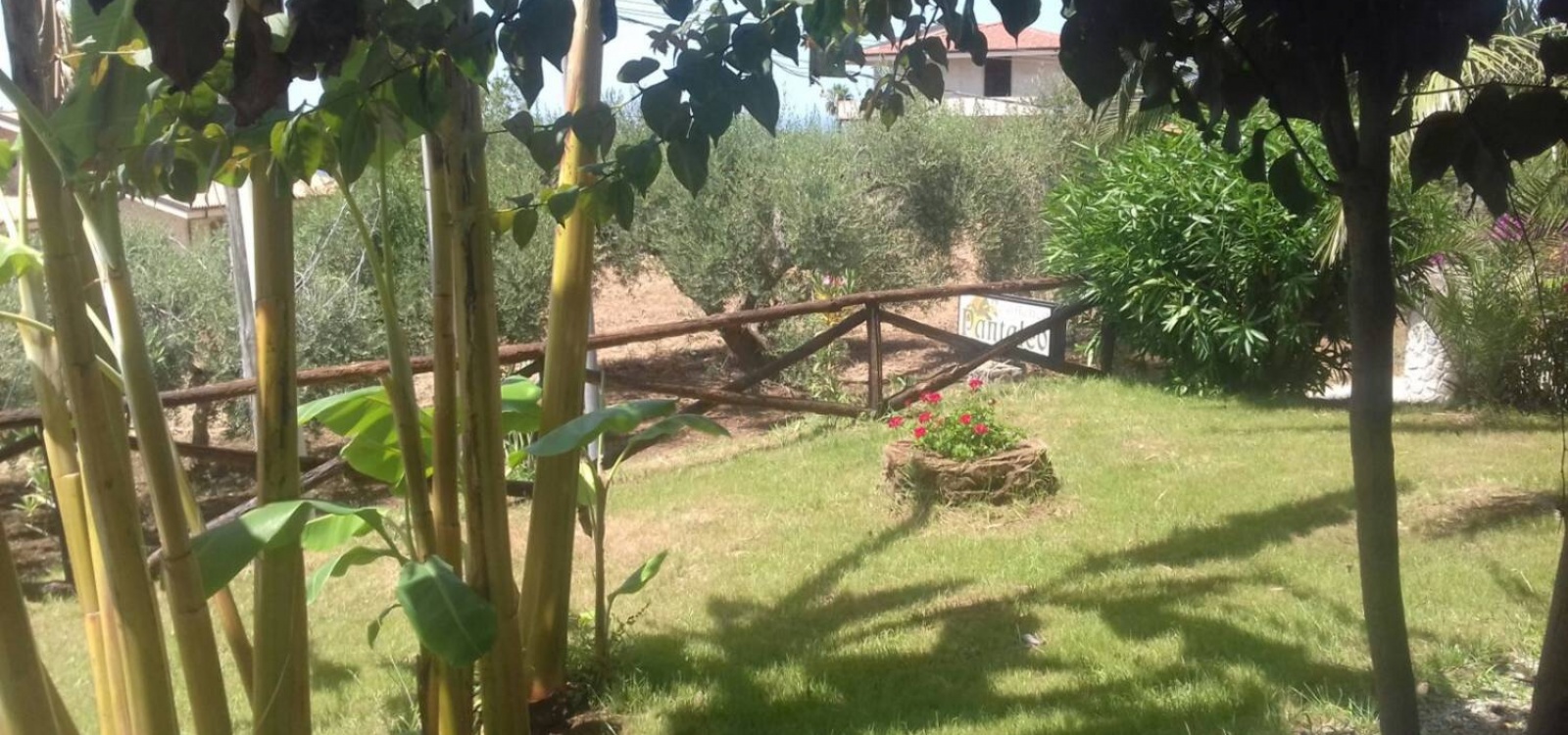 Residence, Affitto per vacanze, Pozzo, ID Struttura 1220, Capo Vaticano, Ricadi, Vibo Valentia, Italy, 89866,