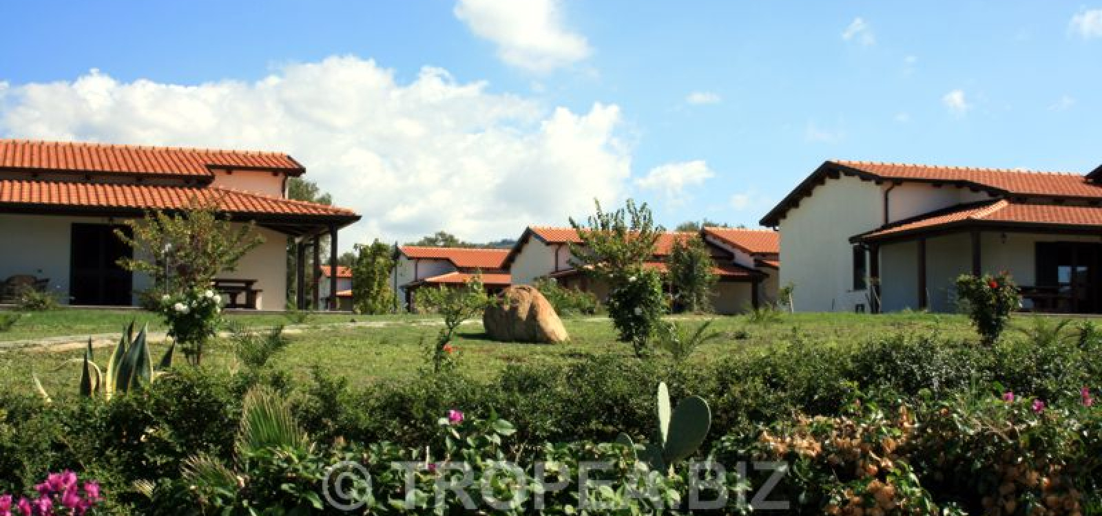 ninea agriturismo ninea agriturismo