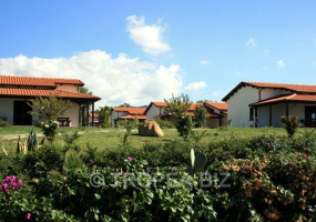ninea agriturismo