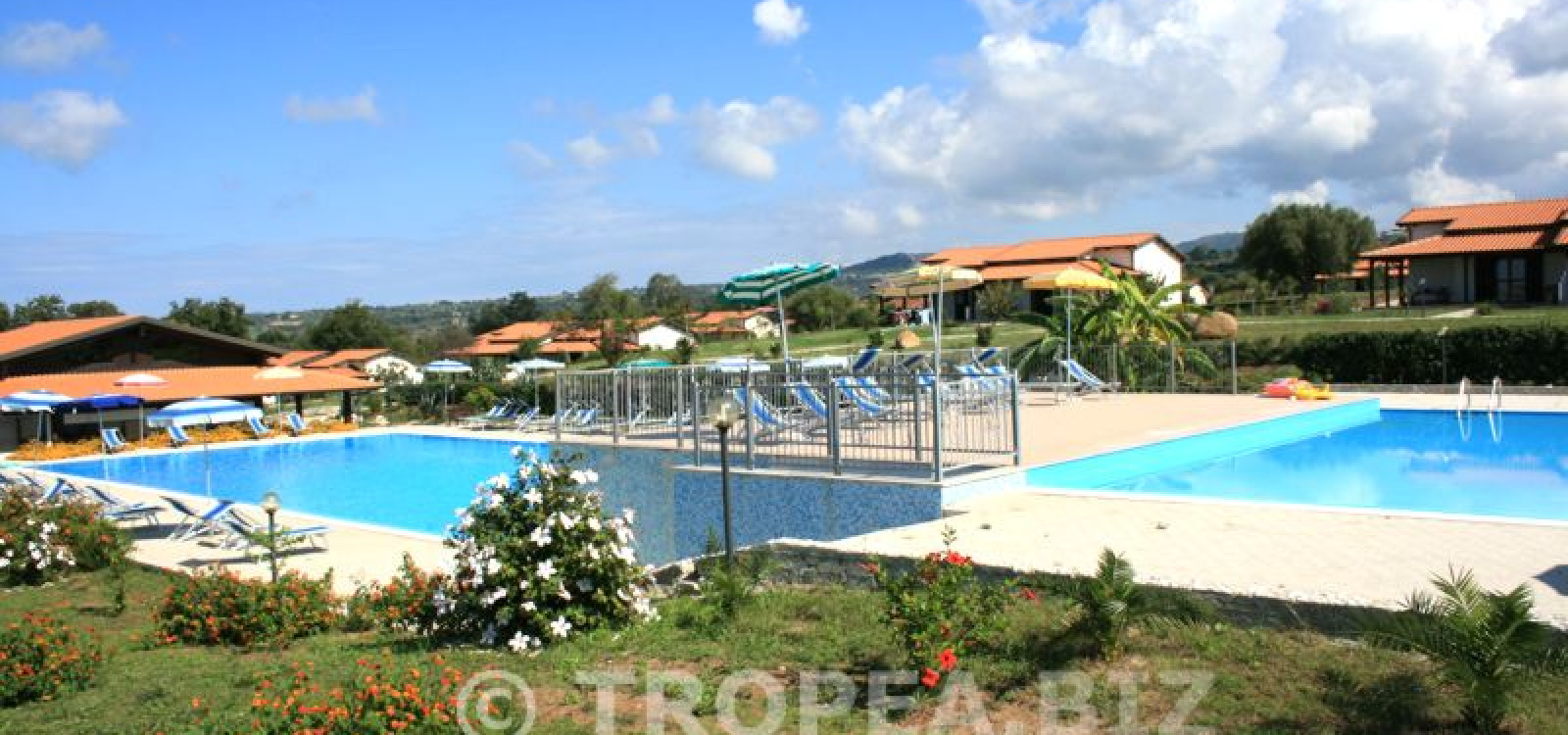 piscine ninea piscine ninea